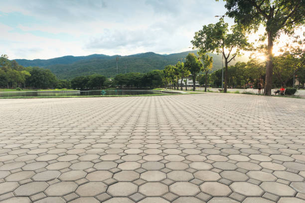 Best Driveway Pavers Near Me  in Becker, MN